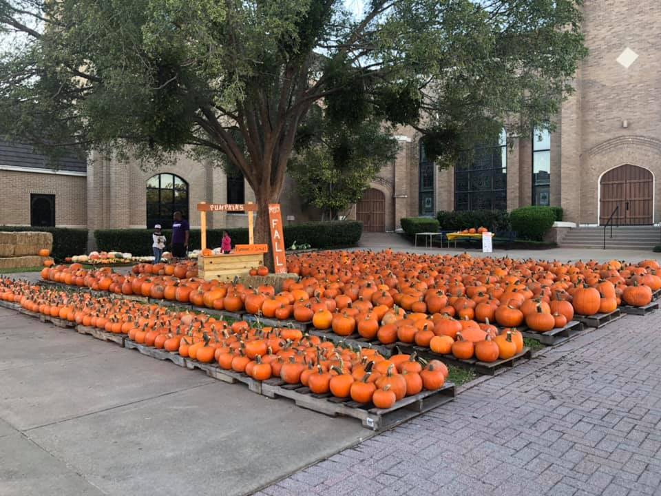 FUMC Kicks Off Fall Season with Annual Pumpkin Patch