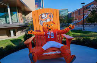 Sammy's new chair beside the LSC