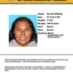 California Highway Patrol cruiser lights at night during a missing person alert
