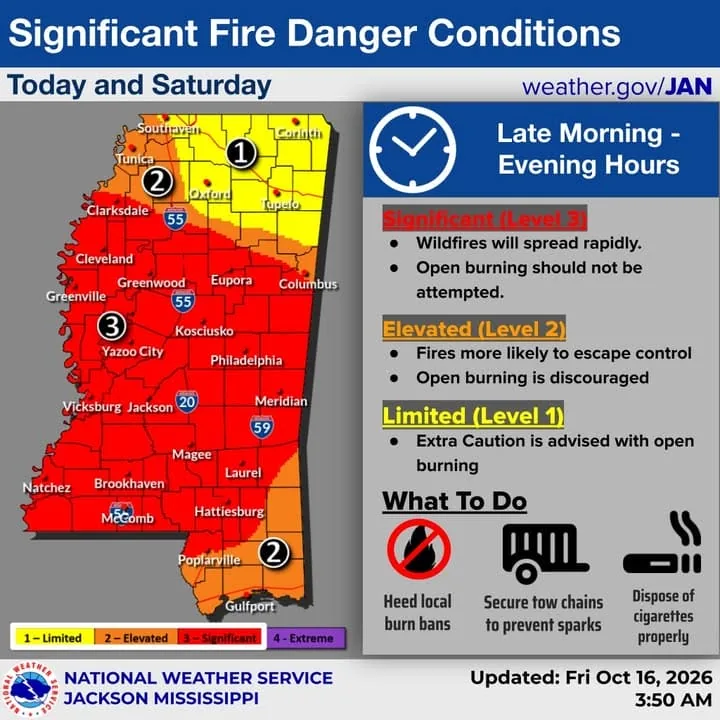 Dry grass and trees in Mississippi under windy wildfire danger conditions