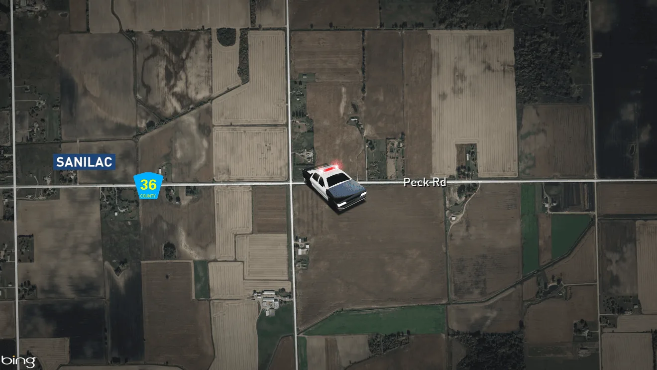 Amish Woman Killed in Sanilac County After Driver Falls Asleep and Strikes Horse-Drawn Buggy on Peck Road, State Police Say