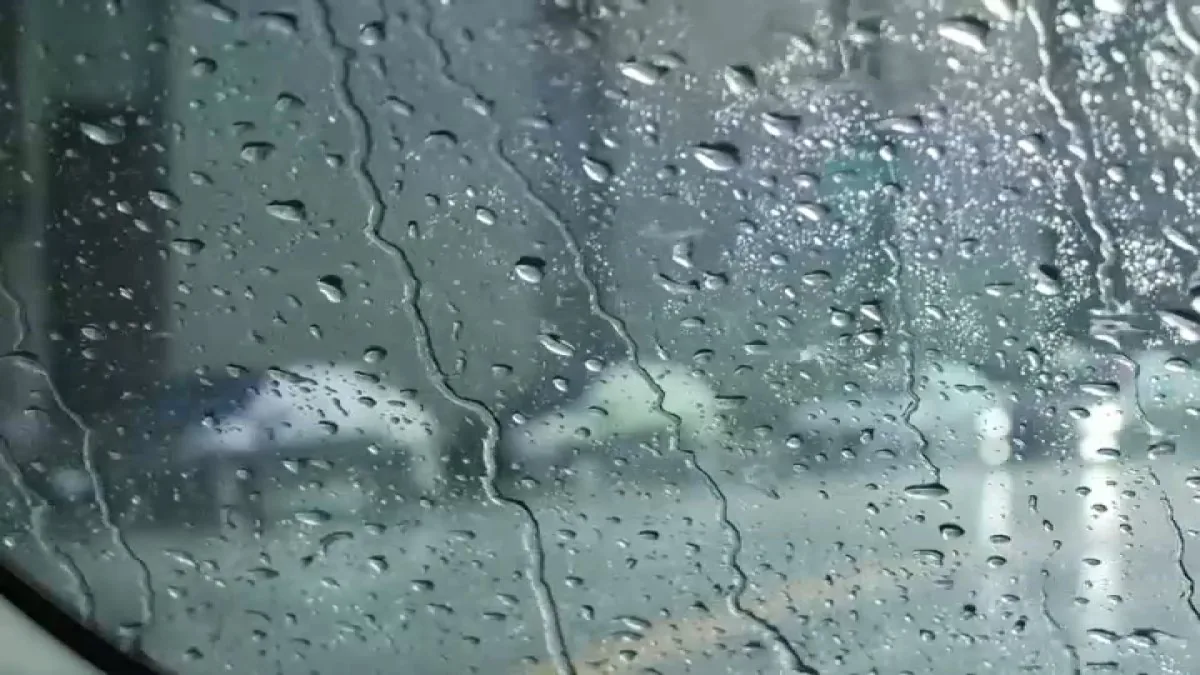 Rainy storm clouds over a Southern California coastline with rough surf and windblown palms